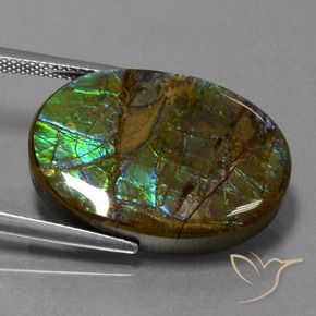 Ammolite Gemstone in 23.7 x 16.7 mm Size for Sale, Ammolite Stone in Multicolor Color