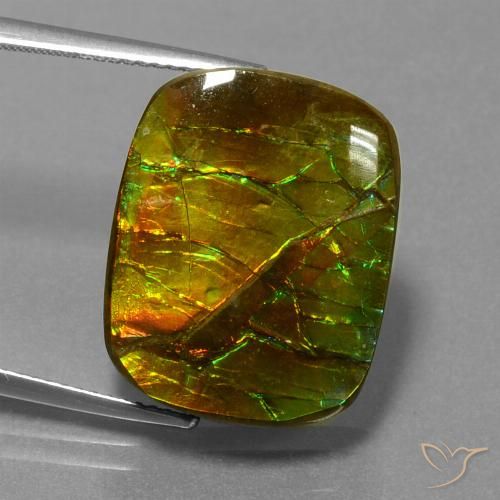 14.83 ct Multicolor Ammolite Gemstone, Ammolite Gem in Cushion Cabochon Shape for Sale.