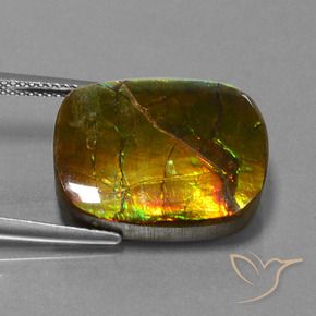 14.83 ct Multicolor Ammolite Stone, Natural Ammolite in Cushion Cabochon Shape for Sale