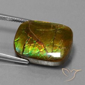Ammolite Gemstone in 20 x 15 mm (calibrated) Size for Sale, Ammolite Stone in Multicolor Color