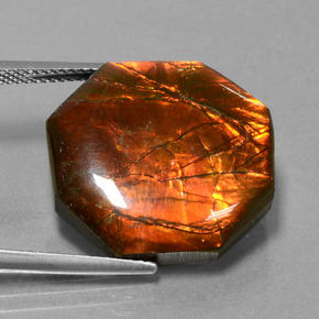 19.17 ct Multicolor Ammolite Stone, Natural Ammolite in Octagon Cabochon Shape for Sale