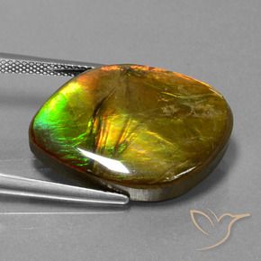 16.27 ct Multicolor Ammolite Stone, Natural Ammolite in Fancy Cabochon Shape for Sale