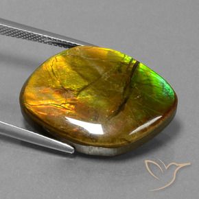 Ammolite Gemstone in 25 x 18 mm (calibrated) Size for Sale, Ammolite Stone in Multicolor Color