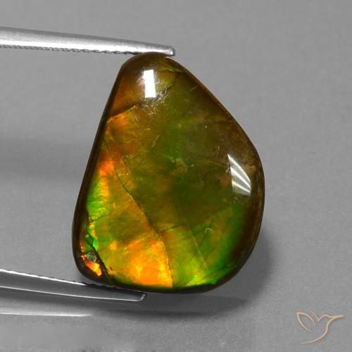 13.25ct Natural Multicolor Ammolite, Fancy, Opaque