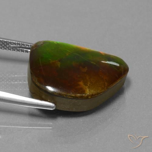 Ammolite Gemstone in 19.2 x 14.7 mm Size for Sale, Ammolite Stone in Multicolor Color
