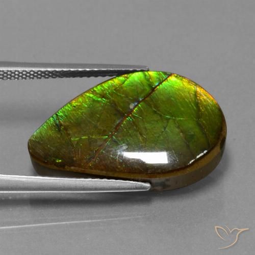 13.12 ct Fancy Ammolite, 22.2 x 14 mm From Canada, Photo A