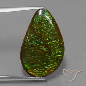 13.12 ct Multicolor Ammolite Stone, Natural Ammolite in Fancy Cabochon Shape for Sale