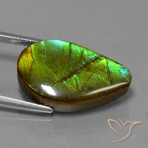 Ammolite Gemstone in 22.2 x 14 mm Size for Sale, Ammolite Stone in Multicolor Color