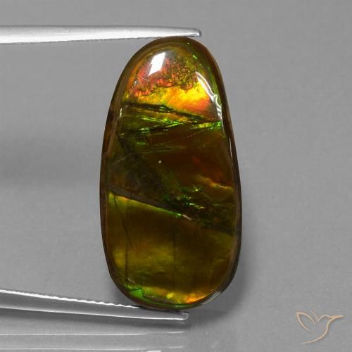 15.26ct Natural Multicolor Ammolite, Fancy, Opaque
