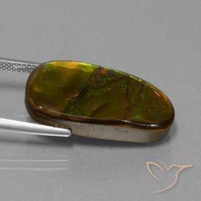 Ammolite Gemstone in 24.9 x 12.9 mm Size for Sale, Ammolite Stone in Multicolor Color