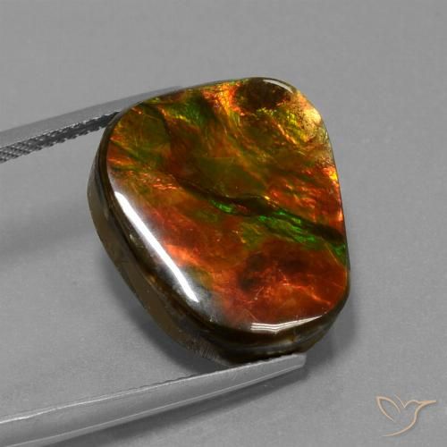 14.52ct Natural Multicolor Ammolite, Fancy, Opaque