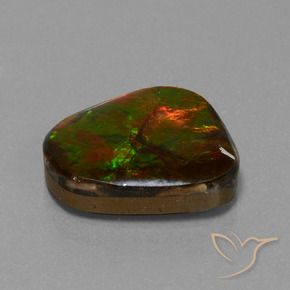 14.52 ct Multicolor Ammolite Stone, Natural Ammolite in Fancy Cabochon Shape for Sale