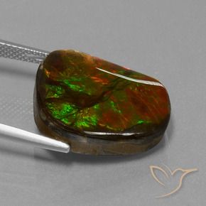 Ammolite Gemstone in 19 x 15.9 mm Size for Sale, Ammolite Stone in Multicolor Color