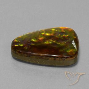 15.67 ct Multicolor Ammolite Stone, Natural Ammolite in Trillion Cabochon Shape for Sale