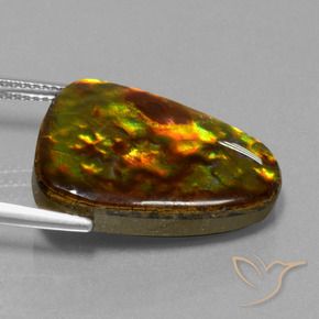Ammolite Gemstone in 22.4 x 16.2 mm Size for Sale, Ammolite Stone in Multicolor Color
