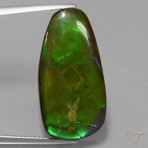 13.82 ct Fancy Ammolite, 24.8 x 12.5 mm From Canada, Photo A