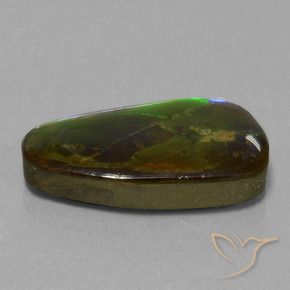 13.82 ct Multicolor Ammolite Stone, Natural Ammolite in Fancy Cabochon Shape for Sale