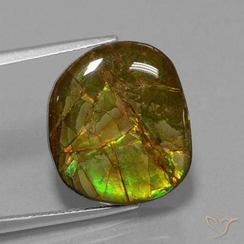 Ammolite Multicolore Fantaisie 18,6x16,3 mm du Canada, poids de 13,05 ct, pierre gemme naturelle assemblé de pureté Opaque , 1 pièce d'ammolite fancy cabochon, couleur : Multicolore, dureté de Mohs de 4 à 4, Photo A
