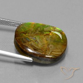 Ammolite Gemstone in 18.6 x 16.3 mm Size for Sale, Ammolite Stone in Multicolor Color
