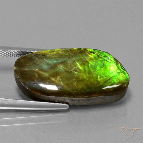 11.74 ct Fancy Ammolite, 23.1 x 11.8 mm From Canada, Photo A