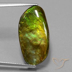 11.74 ct Multicolor Ammolite Stone, Natural Ammolite in Fancy Cabochon Shape for Sale