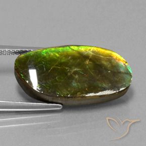 Ammolite Gemstone in 23.1 x 11.8 mm Size for Sale, Ammolite Stone in Multicolor Color
