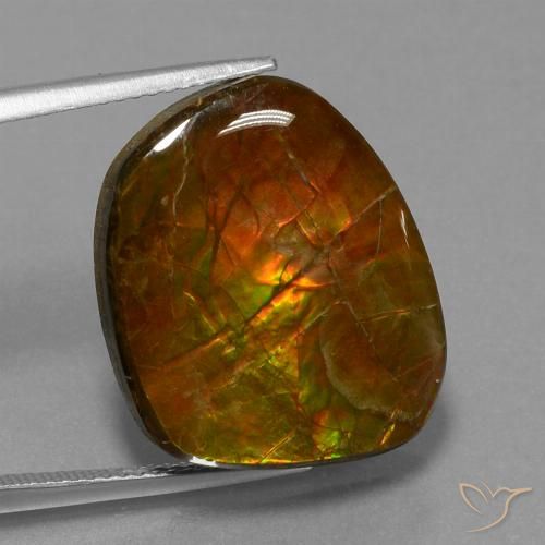 16.13 ct Multicolor Ammolite Gemstone, Ammolite Gem in Fancy Cabochon Shape for Sale.