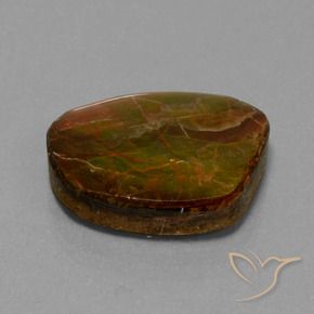 16.13 ct Multicolor Ammolite Stone, Natural Ammolite in Fancy Cabochon Shape for Sale