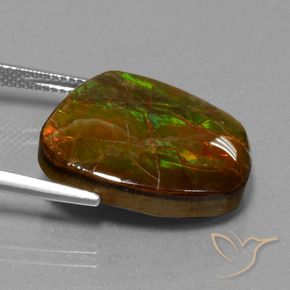 Ammolite Gemstone in 20.8 x 17.1 mm Size for Sale, Ammolite Stone in Multicolor Color