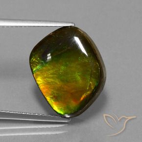 11.27 ct Multicolor Ammolite Stone, Natural Ammolite in Fancy Cabochon Shape for Sale