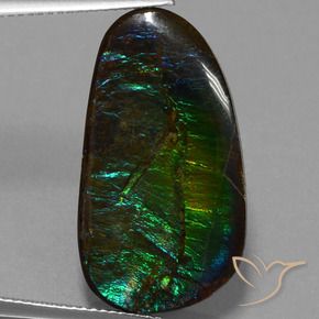 16.95 ct Multicolor Ammolite Stone, Natural Ammolite in Fancy Cabochon Shape for Sale