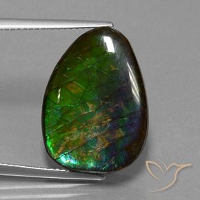 14.77 ct Multicolor Ammolite Stone, Natural Ammolite in Fancy Cabochon Shape for Sale