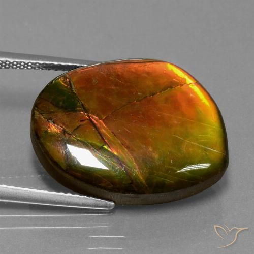 15.55ct Natural Multicolor Ammolite, Fancy, Opaque