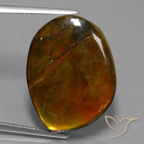 15.55 ct Multicolor Ammolite Stone, Natural Ammolite in Fancy Cabochon Shape for Sale