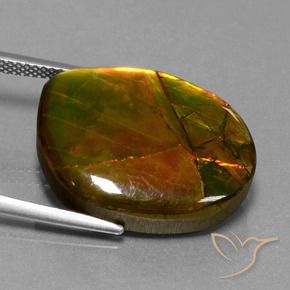 Ammolite Gemstone in 22.6 x 16.9 mm Size for Sale, Ammolite Stone in Multicolor Color