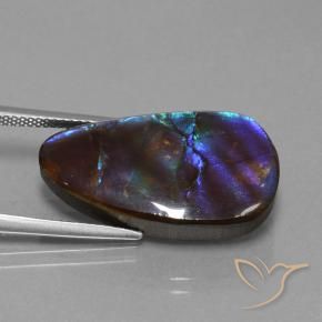 14.98 ct Multicolor Ammolite Stone, Natural Ammolite in Shark Fin Cabochon Shape for Sale