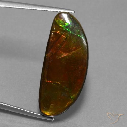 14.62ct Natural Multicolor Ammolite, Fancy, Opaque