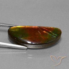 14.62 ct Multicolor Ammolite Stone, Natural Ammolite in Fancy Cabochon Shape for Sale