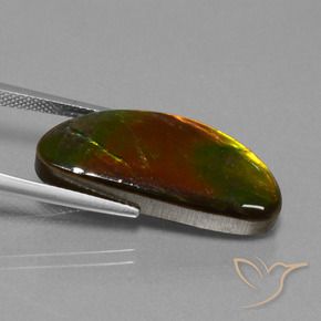 Ammolite Gemstone in 27.5 x 11.6 mm Size for Sale, Ammolite Stone in Multicolor Color