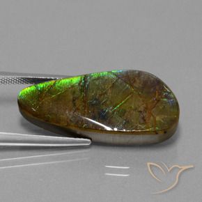 16.23 ct Multicolor Ammolite Stone, Natural Ammolite in Fancy Cabochon Shape for Sale