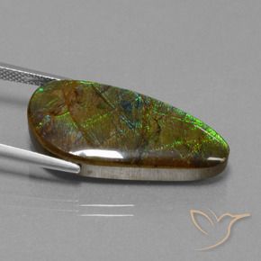 Ammolite Gemstone in 28.4 x 13.4 mm Size for Sale, Ammolite Stone in Multicolor Color