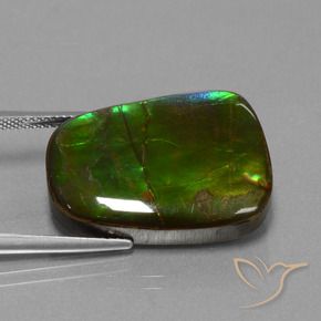 23.19 ct Multicolor Ammolite Stone, Natural Ammolite in Fancy Cabochon Shape for Sale