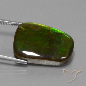 Ammolite Gemstone in 25 x 18 mm (calibrated) Size for Sale, Ammolite Stone in Multicolor Color