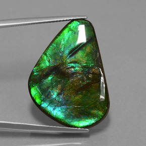 24.56 ct Multicolor Ammolite Gemstone, Ammolite Gem in Trillion Cabochon Shape for Sale.