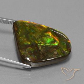 Ammolite Gemstone in 23.8 x 21.6 mm Size for Sale, Ammolite Stone in Multicolor Color