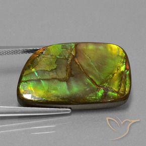 21.06 ct Multicolor Ammolite Stone, Natural Ammolite in Fancy Cabochon Shape for Sale