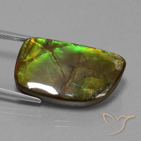 Ammolite Gemstone in 27.1 x 16.6 mm Size for Sale, Ammolite Stone in Multicolor Color