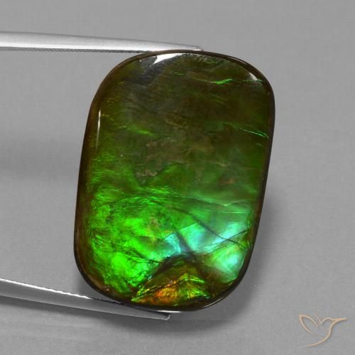21.97 ct Multicolor Ammolite Gemstone, Ammolite Gem in Cushion Cabochon Shape for Sale.
