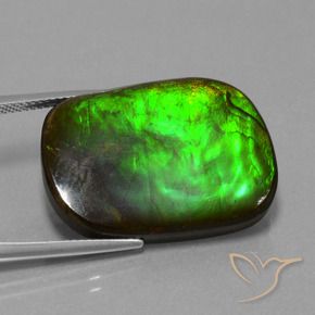21.97 ct Multicolor Ammolite Stone, Natural Ammolite in Cushion Cabochon Shape for Sale