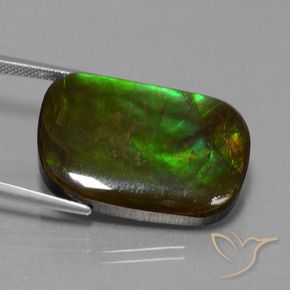 Ammolite Gemstone in 26.2 x 18.7 mm Size for Sale, Ammolite Stone in Multicolor Color